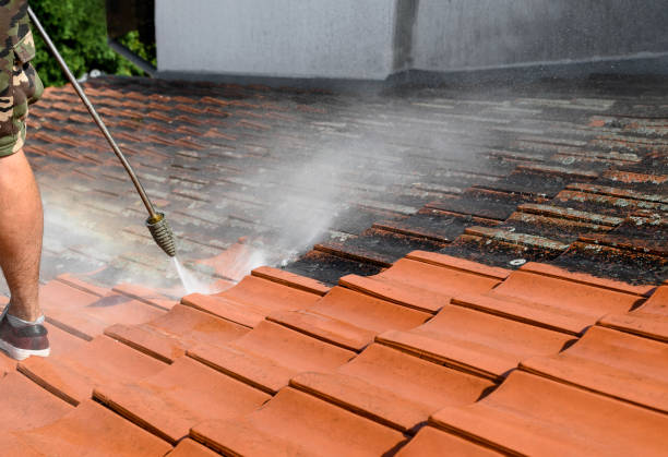 Best Commercial Building Pressure Washing  in Wapello, IA