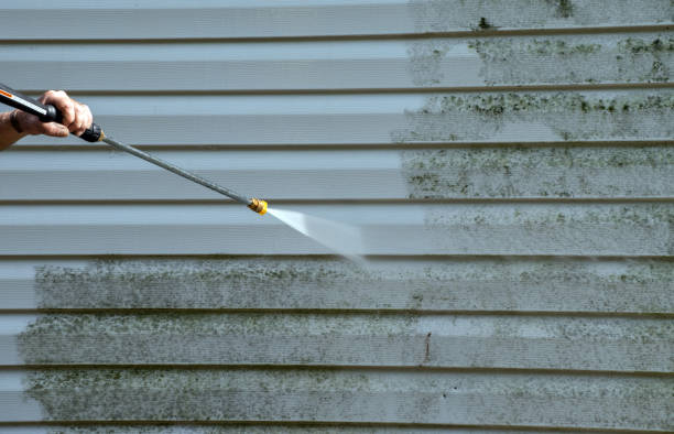 Best House Pressure Washing  in Wapello, IA
