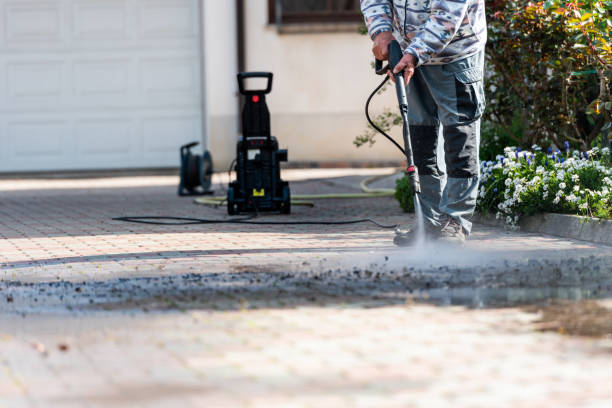 Best Roof Power Washing Services  in Wapello, IA