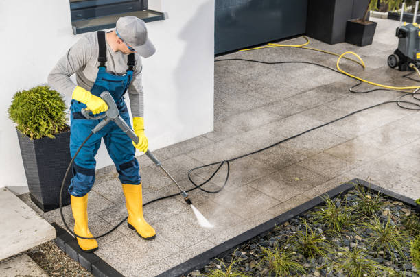 Best Pressure Washing Near Me  in Wapello, IA