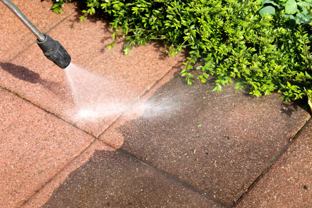 Best Exterior Home Cleaning  in Wapello, IA